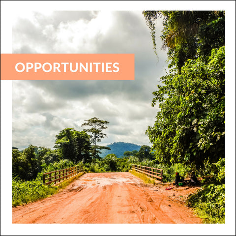 Opportunities (Digital Download)